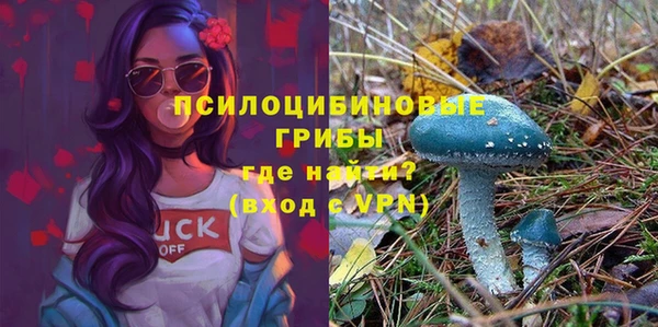 дмт Приозерск