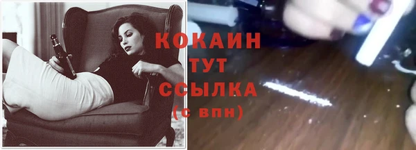 apvp Протвино