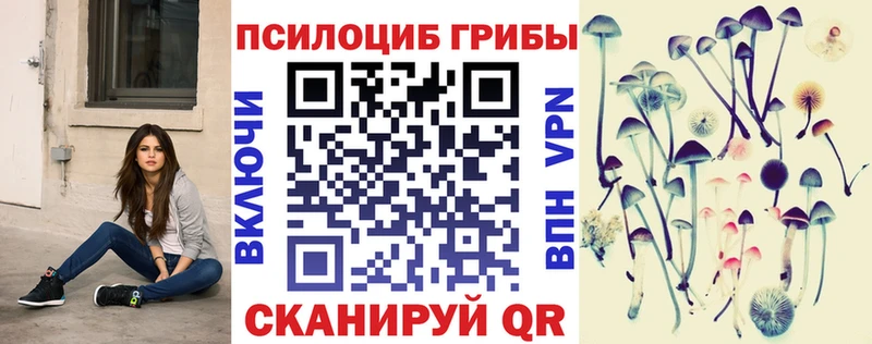 Купить где  Ишимбай  Галлюциногенные грибы Magic Shrooms 